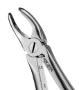 7 EUROPEAN STYLE FORCEPS 1 7 EUROPEAN STYLE FORCEPS 1