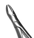 76S EUROPEAN STYLE ROOT FORCEPS, SERRATED 1 76S EUROPEAN STYLE ROOT FORCEPS, SERRATED 1