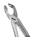 79 EUROPEAN STYLE FORCEPS, SERRATED 1