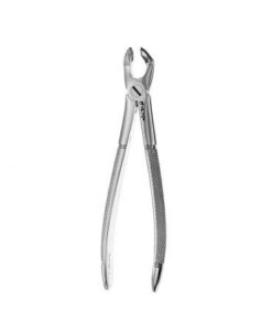 79 EUROPEAN STYLE FORCEPS, SERRATED