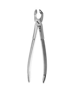79 EUROPEAN STYLE FORCEPS, SERRATED, LOWER THIRD MOLARS