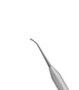 MOD BUSER-HOURIGAN PERIOSTEAL, SMALL BLACK LINE 1 MOD BUSER-HOURIGAN PERIOSTEAL, SMALL BLACK LINE 1