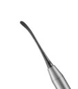 P24G PERIOSTEAL, SHORT, BLACK LINE 1 P24G PERIOSTEAL, SHORT, BLACK LINE 1