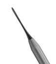 PERIOSTEAL, ALLEN ELEVATOR ANTERIOR, BLACK LINE 2