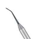 SWISS PERIO SCHL PERIOSTEAL, BLACK LINE 1 SWISS PERIO SCHL PERIOSTEAL, BLACK LINE 1