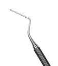 11 DAVIS ROOT TIP PICK 2