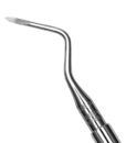 3 HEIDBRINK ROOT TIP PICK 1