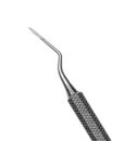 3 WEST ROOT TIP PICK 1
