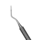 5 WEST ROOT TIP PICK 1