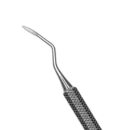 6 WEST ROOT TIP PICK 1